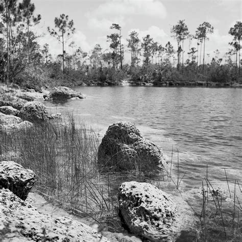 Everglades Lake 041902 Photograph By Rudy Umans Fine Art America