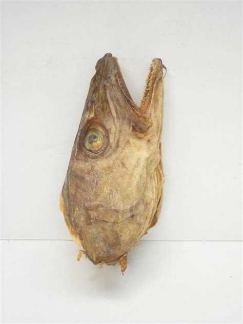 Stockfish Northern Fish Codfish