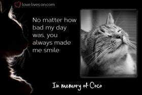 Loss of a pet quotes | a beautiful quote about losing a horse. My Cat Died, But I Hid My Grief | Love Lives On