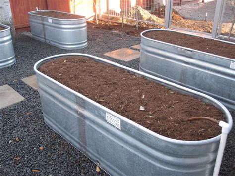 These must reach our people, the youth, women, elderly, those with disabilities and. Watering Troughs as Veggie Beds | Vegetable garden raised ...