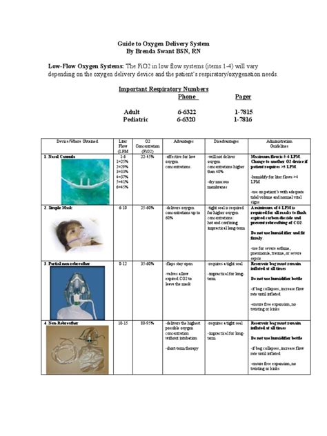 Guide To Oxygen Delivery System Pdf Respiratory System Equipment