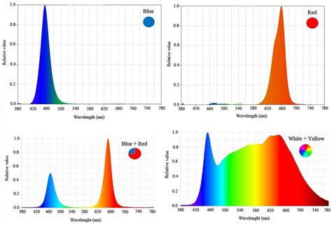 Relative Distribution Of Different Spectral Leds Blue Red Bluered