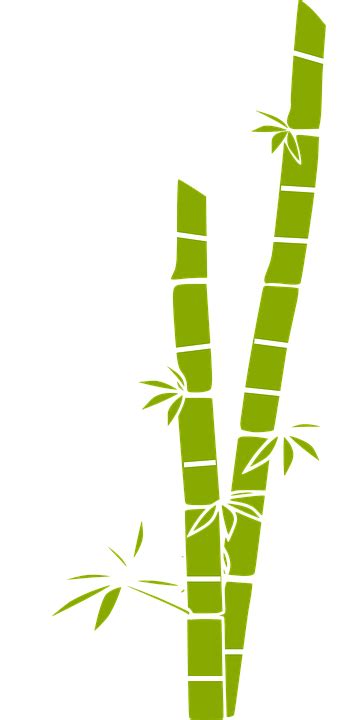 Free Vector Graphic Sugar Cane Bamboo Plant Nature Free Image On