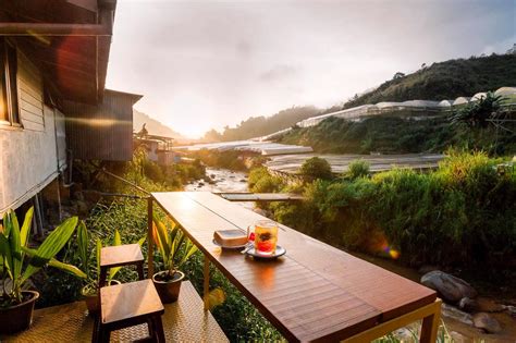 Word spread like wildfire and british colonials, with wealthy chinese businessmen hot on their the homestay concept has taken off in cameron highlands, with options that range from renting a room or an entire home. 11 Homestay di Cameron Highland. Murah & terbaik untuk ...