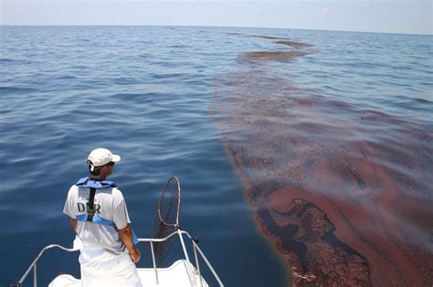 The Deepwater Horizon Oil Spill Two Years Later Smithsonian Ocean Portal