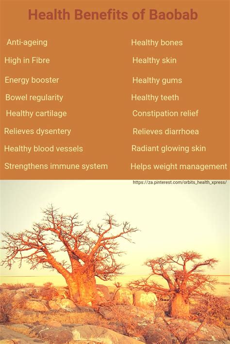 So, are the extra health benefits of whe. Incredible Health Benefits of Baobab | Health benefits