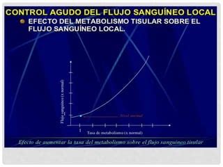 Control Local Y Humoral Del Flujo Sangu Neo Ppt