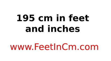 195 Cm In Feet And Inches 195 Cm In Ft And In