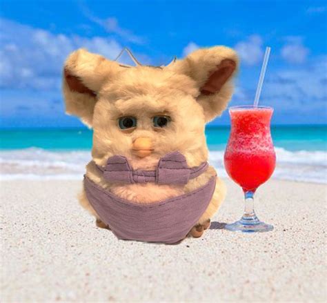 Beach Furby 2005 By Oddbodyfurbz On Instagram Furby Old Memes