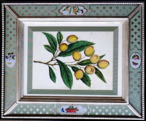 A Set Of Twelve 19th Century China Trade Paintings Of Fruit And
