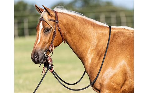 Mecate Reins Downunder Horsemanship
