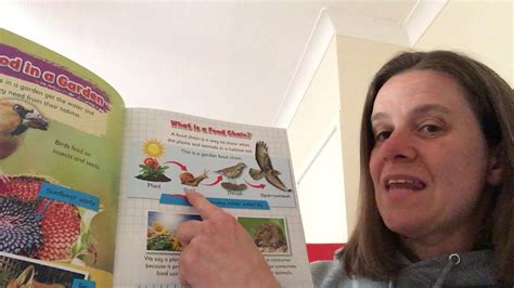 A sequence showing the feeding relationship among the organisms in a habitat is know as. Habitats and Food Chains - YouTube
