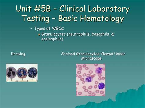 Ppt Unit 5b Clinical Laboratory Testing Basic Hematology