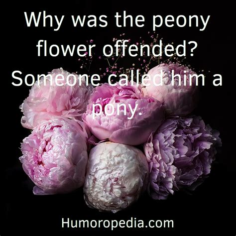 99 Best Flower Puns And Jokes So Funny Youll Definitely Lol Flower
