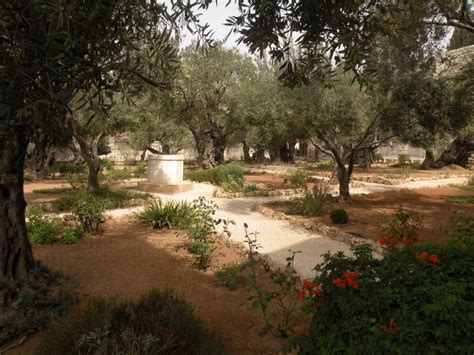 Your Divine Inspirations Garden Of Gethsemane