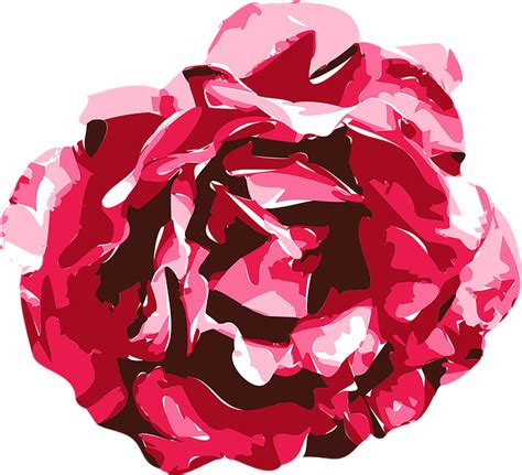 Download Rose Vector Nature Royalty Free Vector Graphic Pixabay