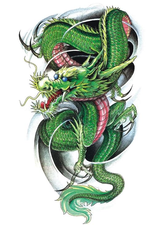 Dragon Tattoo Flash Art Wiki Tattoo