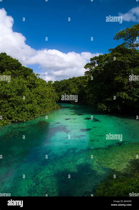 Green Water River Sanma Province Espiritu Santo Vanuatu Stock Photo