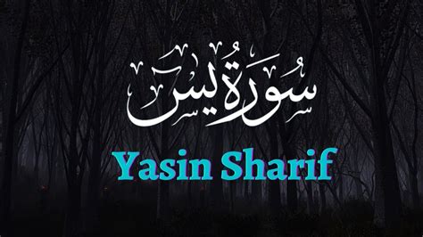 Yasin Surah Yaseen Best Tilawat Quran Surah Yasin Yasin Sharif