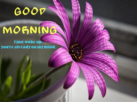 Welcome to the thing called life. New Stylish Good Morning HD Cards Download | Festival Chaska