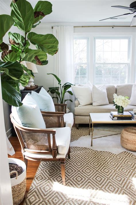 11 Tropical Living Room Ideas That Will Drive You Wild Hunker