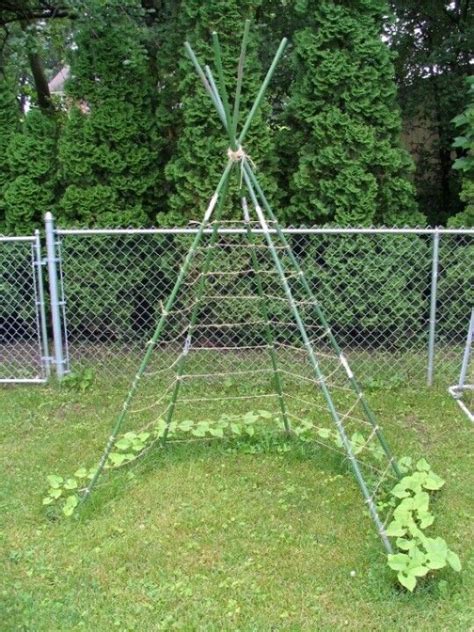 The support should be 6 to 8 feet tall. Pole bean trellis | Gardening | Pinterest