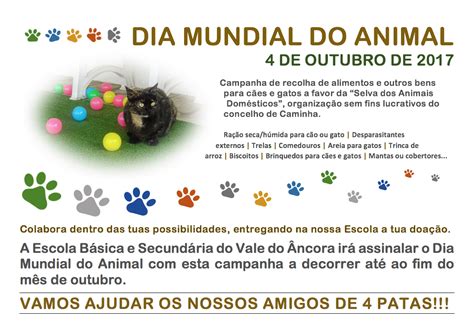 If you continue browsing the site, you agree to the use of cookies on this website. A Turma da Ilda: Hoje assinala-se o Dia Mundial do Animal