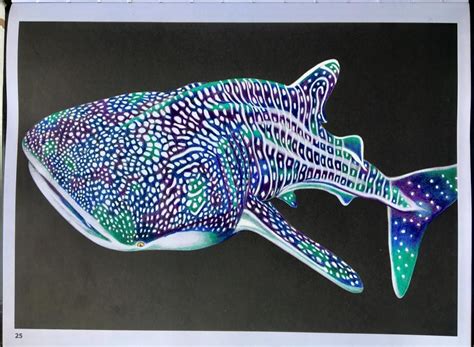 Whale Shark By Elisabeth Schifter Animal Drawings Whale Shark Easy