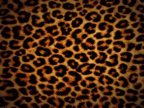 Leopard BB 8900 Wallpaper :) | Flickr - Photo Sharing! by Briana | WHI