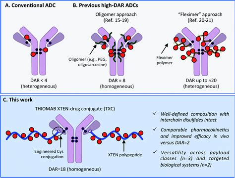 Antibody Drug Conjugate Structure Vrogue Co