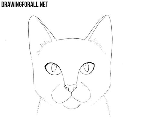 How To Draw A Cat Head Cat Face Drawing Drawings Cat Drawing