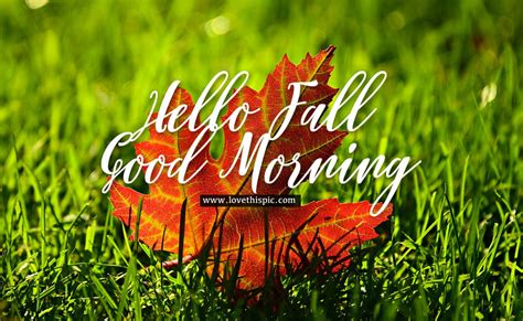 Maple Leaf Hello Fall Good Morning Image Pictures Photos And Images