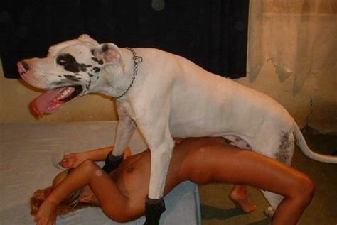Grua Desigualdad Evento Nombres De Razas De Perros Con Orejas Largas Hot Sex Picture
