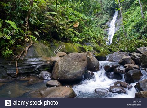 Waterfall Cocos Island National Park Costa Rica East