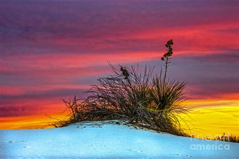 White Sands Sunset Photograph By Lisa Manifold Fine Art America