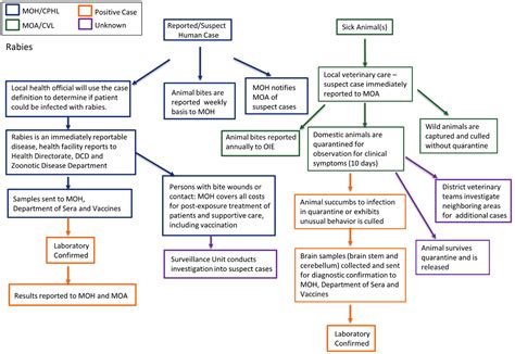 They are utterly unaware that the fda only allowed the vaccines. Frontiers | Mapping of Networks to Detect Priority ...