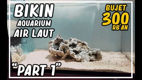 Penerangan harus cukup, jangan berlebihan keadaan yang sehat dan. CARA BIKIN AQUARIUM AIR LAUT PEMULA - YouTube