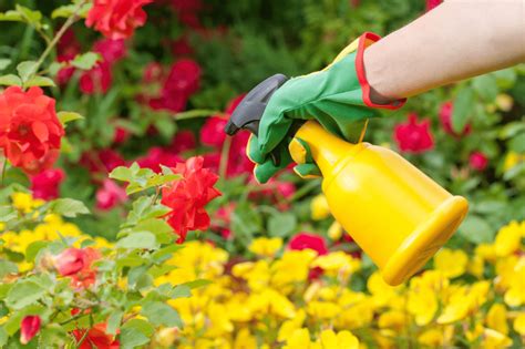 6 Reasons Not To Use Pesticides In Your Garden Greenripegarden