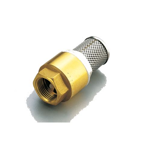 Brass Foot Valve With Strainer Advantay