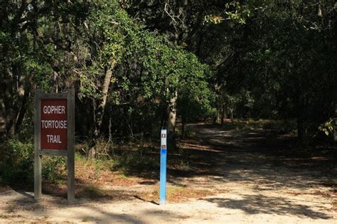 Reed bingham state park campground map. Gopher Tortoise Trail - Picture of Reed Bingham State Park ...