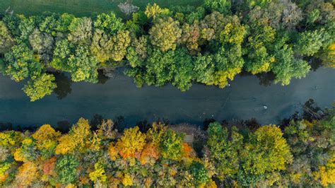 River Between Colorful Forests In Autumn Season · Free Stock Photo