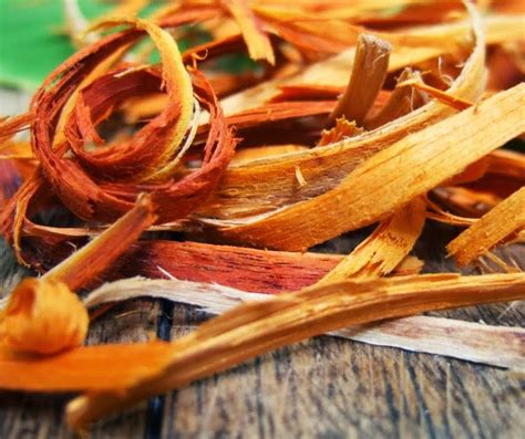 Ekstrak kulit kayu manis bisa digunakan untuk menekan pertumbuhan beberapa mikroorganisme seperti escherichia coli, staphylococcus aureus, dan candida albicans (anonim, 2010). TANAMAN OBAT YANG DIMANFAATKAN BATANGNYA - Ensiklopedia Cilik