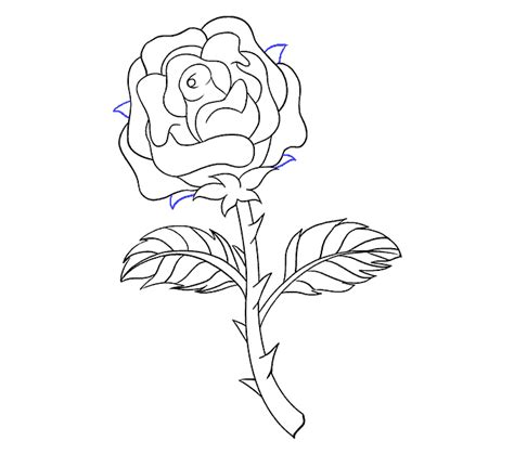 I'll show you how to draws a rose step by step. How to Draw a Rose in a Few Easy Steps | Easy Drawing Guides