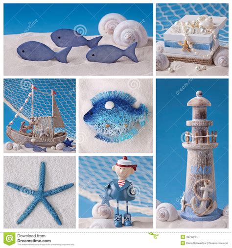 Marine Life Collage Stock Image Image Of Nature Seastar