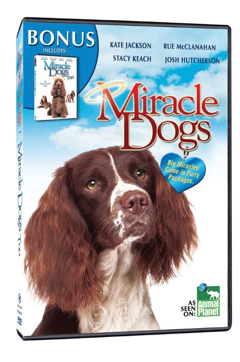 Miracle Dogs Miracle Dogs 2 Dvd