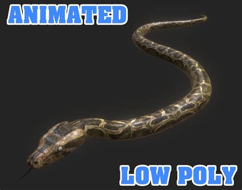 3d Asset Low Poly Python Animated Game Ready Cgtrader