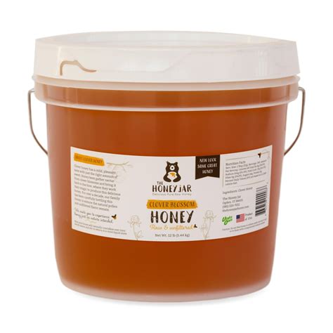 absolutely raw honey bulk raw clover honey 1 gallon pail etsy