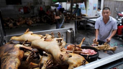 Pekín cambiará la forma de comer de los chinos para evitar enfermedades NIUS