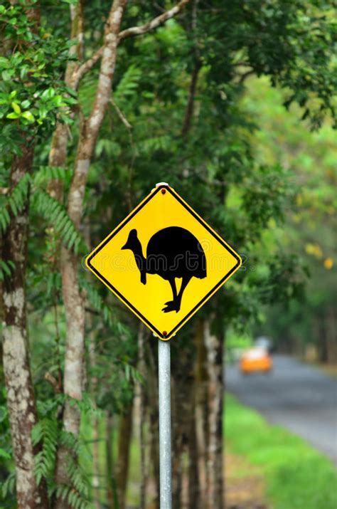 Cassowary Warning Sign In Queensland Australia Stock Image Image Of