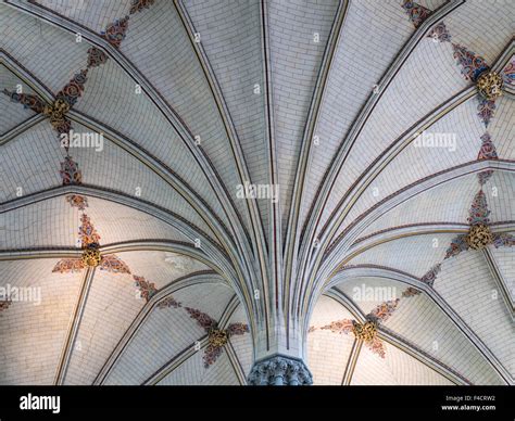 Fan Vault In The Chapter House At Salisbury Cathedral A Medieval